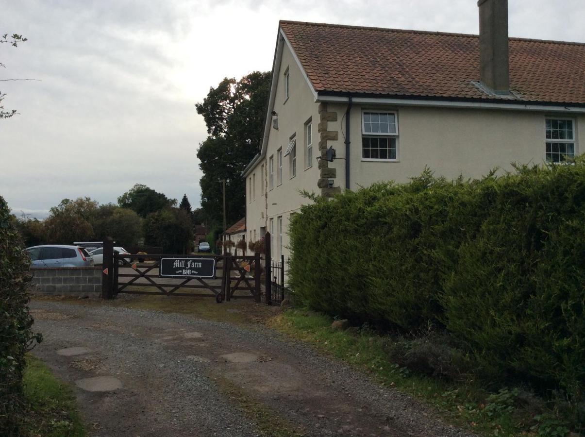 Mill Farm B&B Great Ayton Eksteriør billede